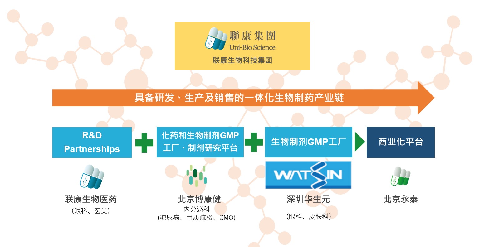 申博sunbet生物科技集团组织架构
